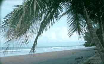 beach5.jpg (8751 bytes)